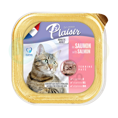 Paté with salmon 100g