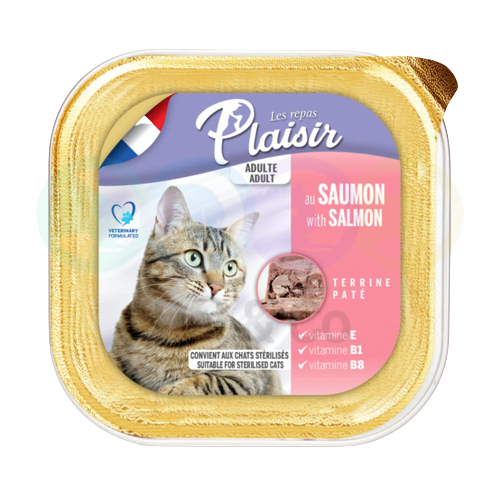 Paté with salmon 100g